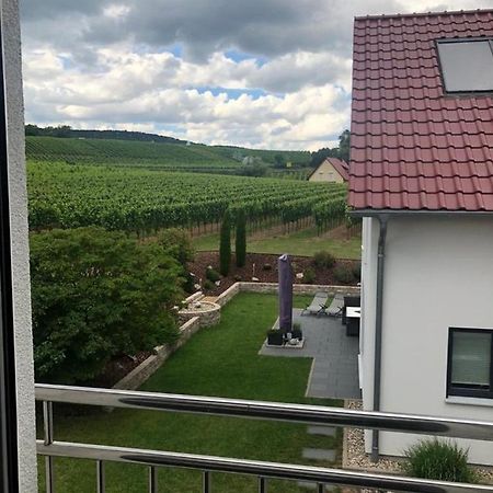 Fewo Stubenhocker Leilighet Pleisweiler-Oberhofen Eksteriør bilde