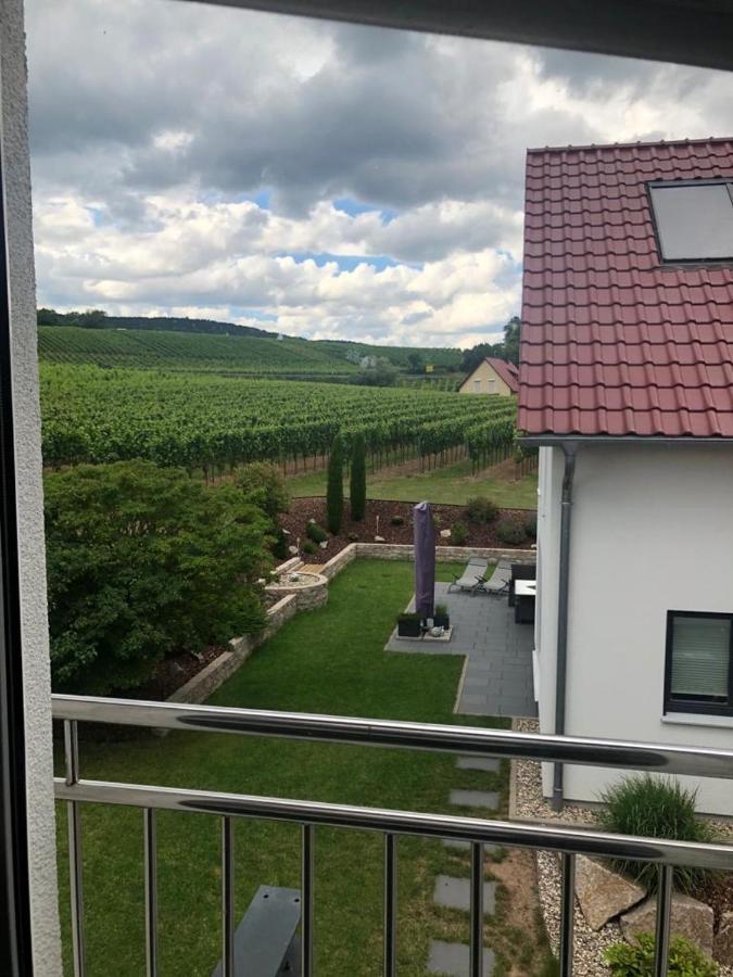 Fewo Stubenhocker Leilighet Pleisweiler-Oberhofen Eksteriør bilde